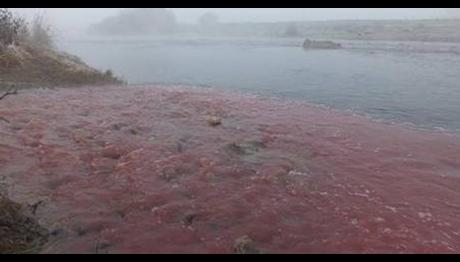 Örnek haber adı gelecek.