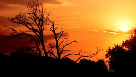 Örnek haber adı gelecek.