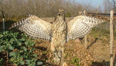 Örnek haber adı gelecek.