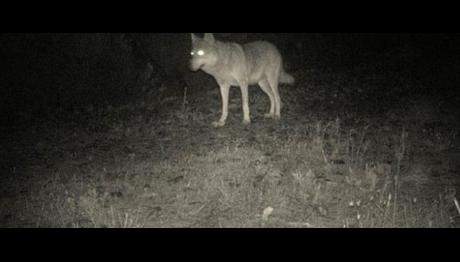 Örnek haber adı gelecek.