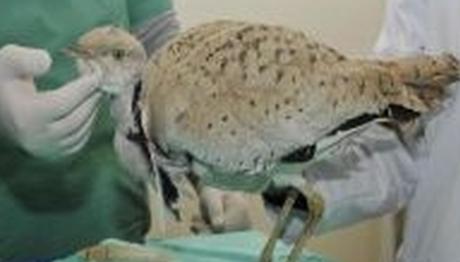 Örnek haber adı gelecek.