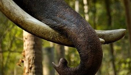 Örnek haber adı gelecek.