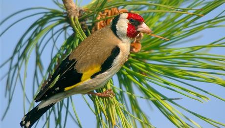 Örnek haber adı gelecek.