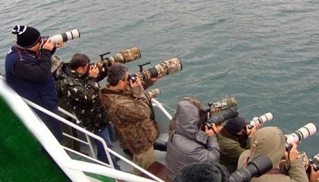 Örnek haber adı gelecek.