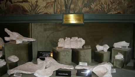 Örnek haber adı gelecek.