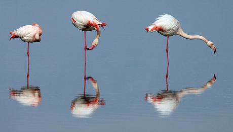 Örnek haber adı gelecek.