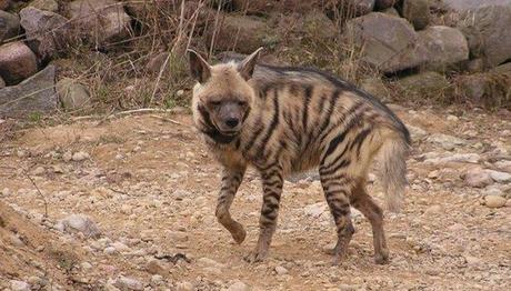 Örnek haber adı gelecek.
