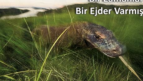 BİR ZAMANLAR BİR EJDER VARMIŞ