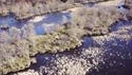 Karacabey Longozunu hiç bu halde görmediniz!