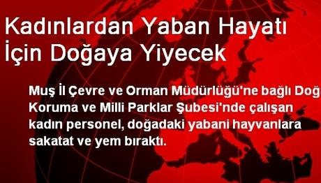 Kadınlardan Yaban Hayatı İçin Doğaya Yiyecek