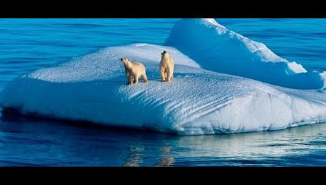 Hayvanların İklim Değişikliği Hareketleri Haritalandı 