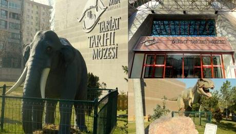 MTA TABİAT TARİHİ MÜZESİ