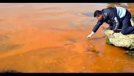 Karadeniz’deki Kızıl Tabakanın Nedeni İklim Değişikliği Mi?