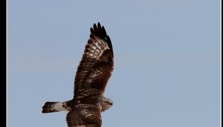 Örnek haber adı gelecek.