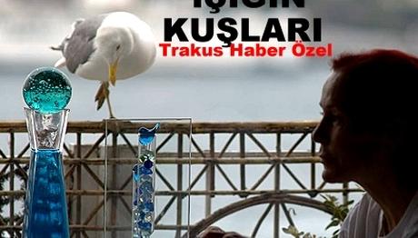 Işık'ın kuşları