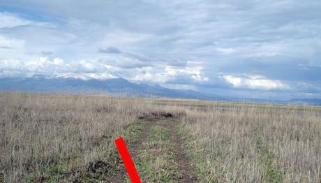 SULTANSAZLIĞI'NA VEFA!