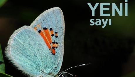 Örnek haber adı gelecek.