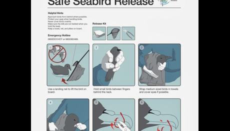 Örnek haber adı gelecek.