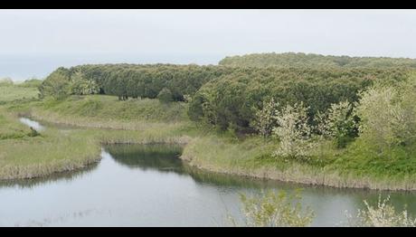 Örnek haber adı gelecek.