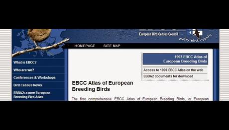 Örnek haber adı gelecek.