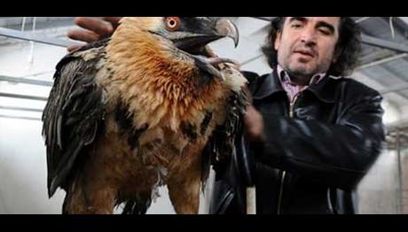 Örnek haber adı gelecek.