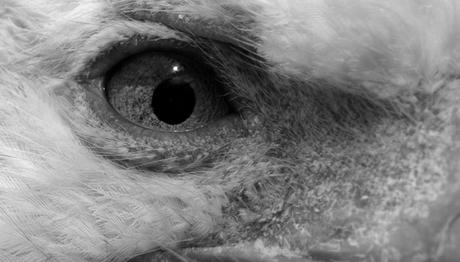 Örnek haber adı gelecek.