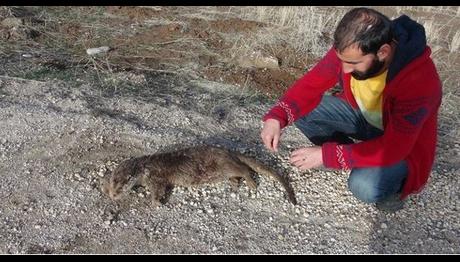 Örnek haber adı gelecek.