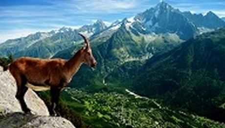 Örnek haber adı gelecek.