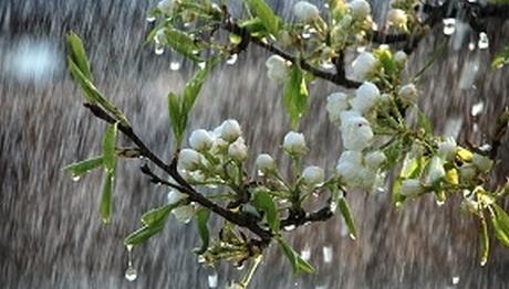 Örnek haber adı gelecek.