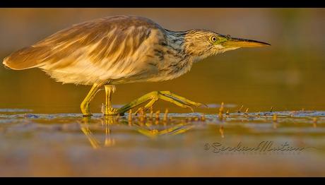 Örnek haber adı gelecek.