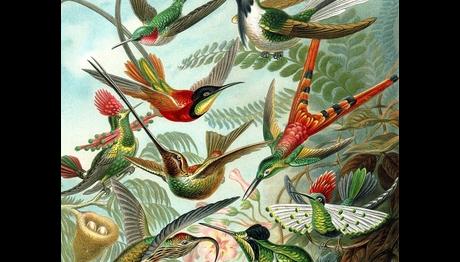 Örnek haber adı gelecek.