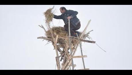 Leylek hazırlığı