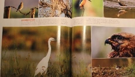 Örnek haber adı gelecek.