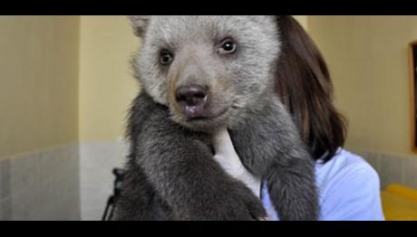 Örnek haber adı gelecek.