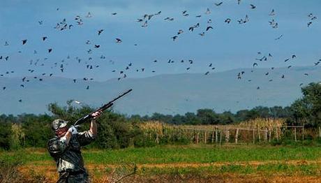 Yine avcılar yine bilinçsizlik