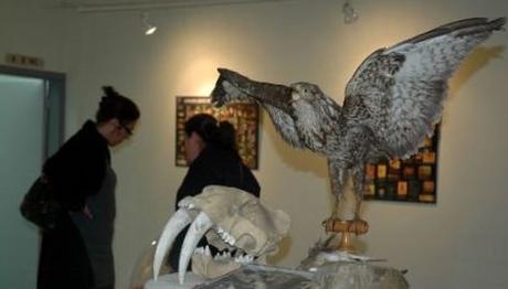 TABİAT TARİHİ MÜZESİ (İzmir) EGE ÜNİVERSİTESİ TABİAT TARİHİ UYGULAMA VE ARAŞTIRMA MERKEZİ