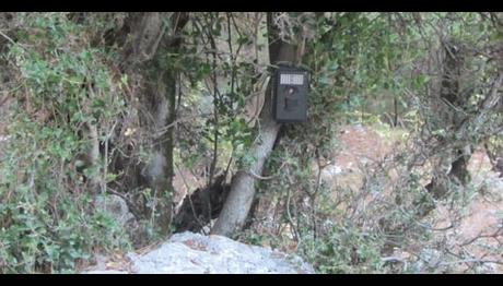 Şeytanın aklına gelmez