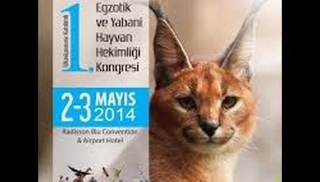 Egzotik ve yabani hayvan sağlığı konusunda bilim adamları 2 Mayıs'ta İstanbulda
