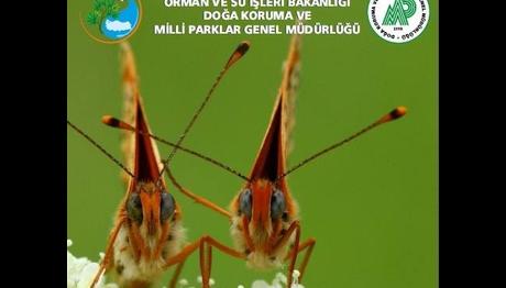 Türkiye'nin Tür Koruma Stratejisi oluşturuluyor! 