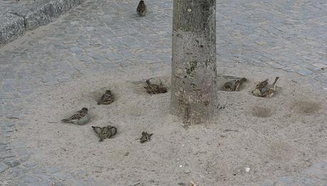 Örnek haber adı gelecek.
