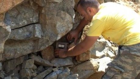 Datçada öncelikli memeli hayvan türleri koruma altında