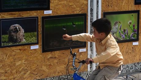 BURDUR’UN KUŞLARI CADDELERE İNDİ!