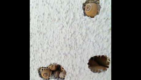 Bu delikler hiç de tanıdık değil! 