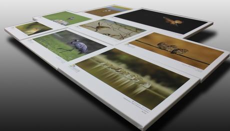 TRAKUS  2015 SERGİSİ