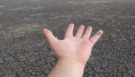 Kuyucuk Kuş Cenneti bataklığa döndü