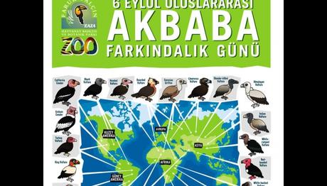 6 Eylül Uluslararası Akbaba Farkındalık Günü
