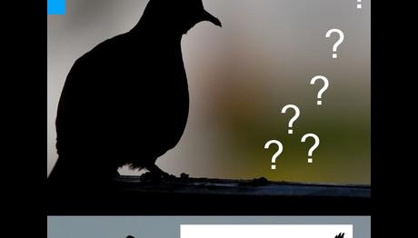 FOTOFORUMDA ŞENLİK VAR!