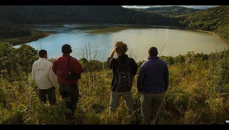 Dünyanın en nadir görülen kuş türü için yeni ev arayışı