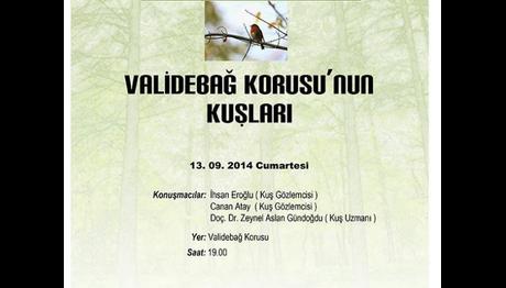 Validebağ Korusu'nun Kuşları