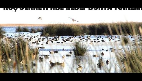 KUŞ CENNETİNDE HEDEF DÜNYA TURİZMİ